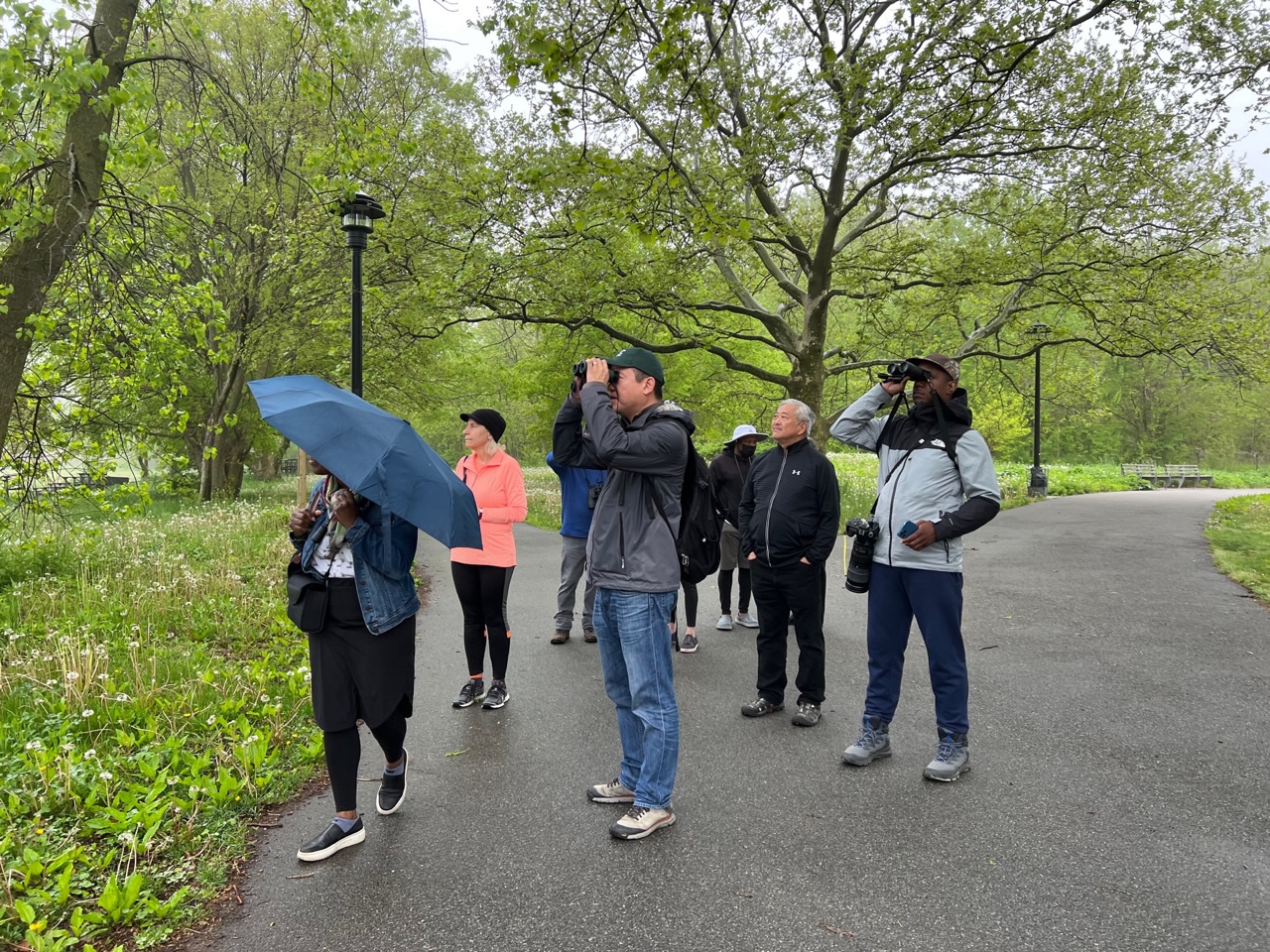 Mike Yuan, center, peers through the rain and mist to find sightings of songbirds in the distance.